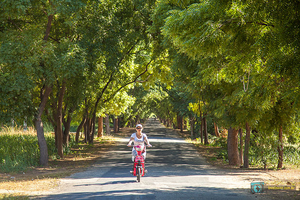 Bagan, Myanmar